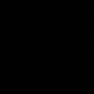 Meet your Posher, Lexi